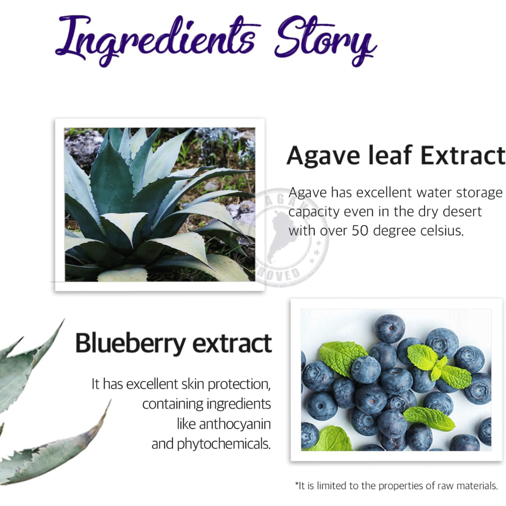 Imagem informativa sobre ingredientes como extrato de folha de agave e extrato de mirtilo. O foco está na hidratação, proteção da pele e propriedades de cuidado provenientes de ingredientes de origem vegetal.