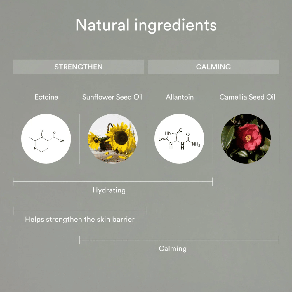 A imagem mostra ingredientes naturais que fortalecem e acalmam a pele: Ectoin e óleo de semente de girassol ajudam a hidratar e fortalecer a barreira da pele, enquanto alantoína e óleo de semente de camélia acalmam e protegem a pele sensível.