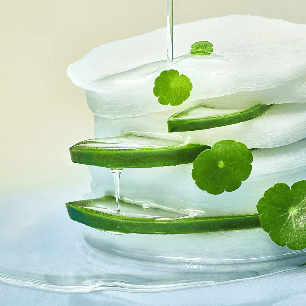 Grande plano de fatias de aloé vera, discos tónicos hidratantes e folhas de centella asiatica. O gel escorre entre os ingredientes para ilustrar as propriedades calmantes, refrescantes e hidratantes.
