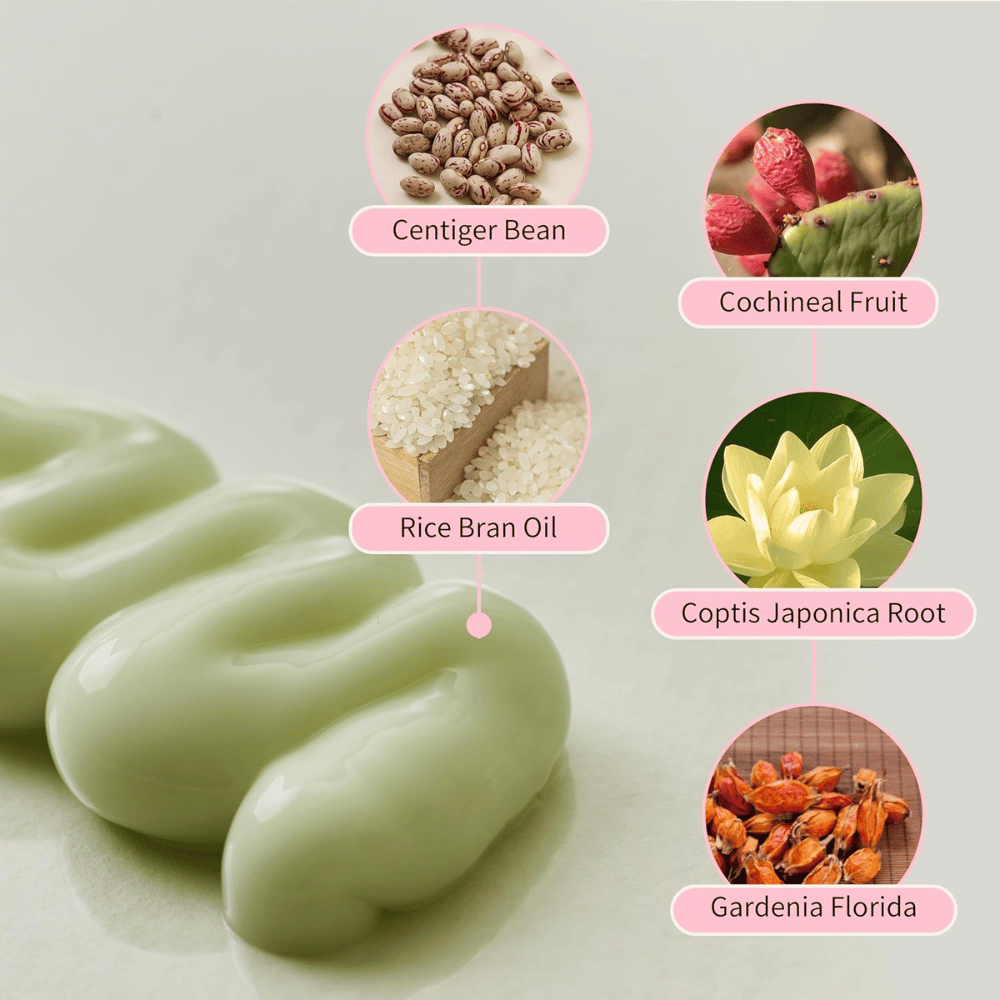 Beauty of Joseon Jello Skin Massage Cream com niacinamida, óleo de farelo de arroz, gardénia, coptis japonica e extratos vegetais para uma pele hidratada.