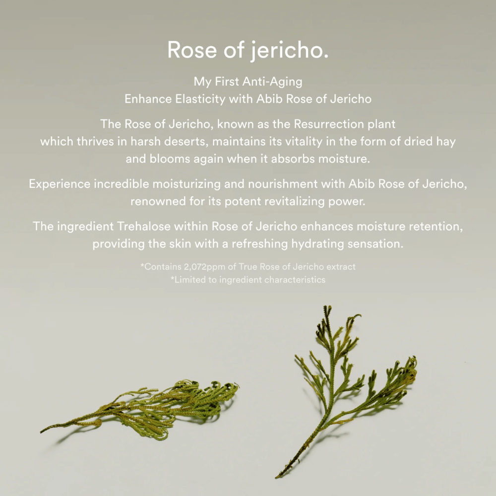 Imagem informativa sobre o extrato de Rose of Jericho que descreve as propriedades hidratantes e revitalizantes da planta para a pele.