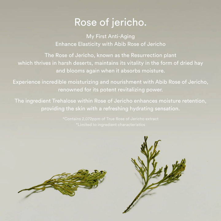 Imagem informativa sobre o extrato de Rose of Jericho que descreve as propriedades hidratantes e revitalizantes da planta para a pele.