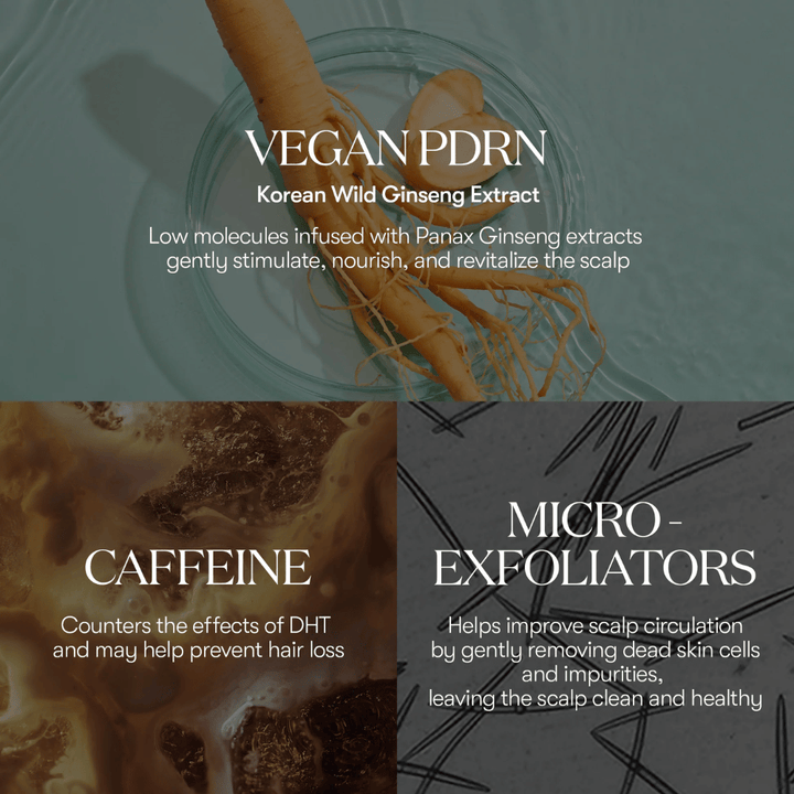 Ilustração de ingredientes ativos em PDRN Reedle Shot Hair Ampoule 100dL com PDRN vegano de ginseng selvagem coreano, cafeína e micro-esfoliantes que cuidam e revitalizam o couro cabeludo.