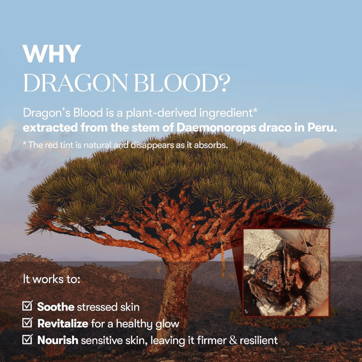 Ilustração da árvore Dragon’s Blood (Daemonorops draco) no Peru, ingrediente no VT Red Booster Reedle Shot 100 que acalma a pele estressada, fortalece a barreira da pele e proporciona um brilho saudável.